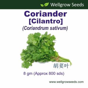 Wellgrow Coriander Cilantro Seeds