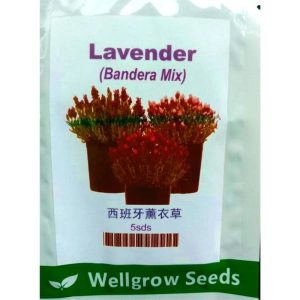 Wellgrow Lavender