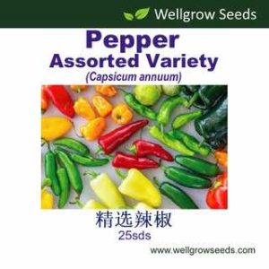 Wellgrow Pepper Assorted Variety Seeds