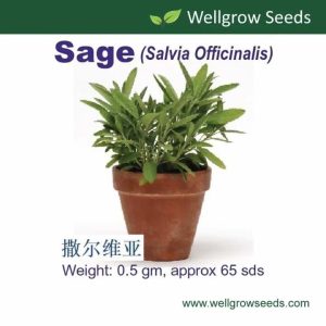 Wellgrow Sage Extrakta Seeds