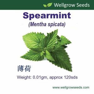 Wellgrow Spearmint Seeds