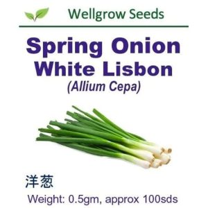 Wellgrow Onion Ishikura