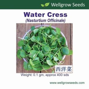 Wellgrow Water Cress Seeds