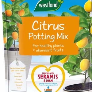 Westland Citrus Potting Mix 8L