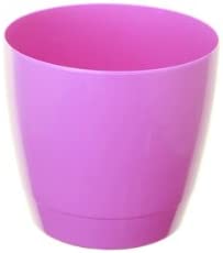 Whitefurze Indoor Pot 16cm