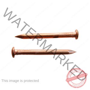 Copper Nails (per piece)