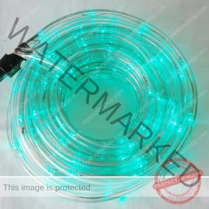 LED Rope light 10mtrs ? green