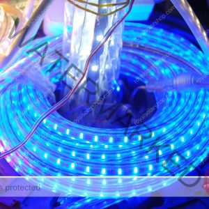 LED Rope light 50mtrs ? Blue