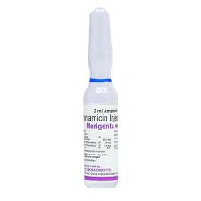 MERIGENTA 80MG INJECTION 2ML