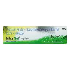 NITRA MINT FLAVOUR TUBE OF 100GM GEL