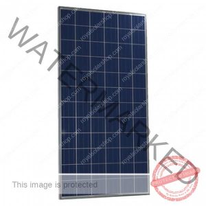 Renogy 310 watts ? 24v polycrystalline solar panel