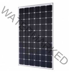 Trina Solar 350W TALLMAX Plus Mono Panel