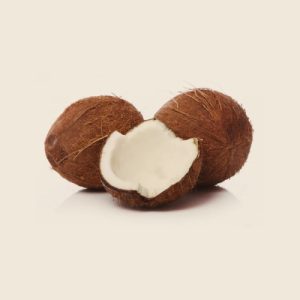 Coconut 1pc