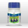 Belt Expert | 100ML