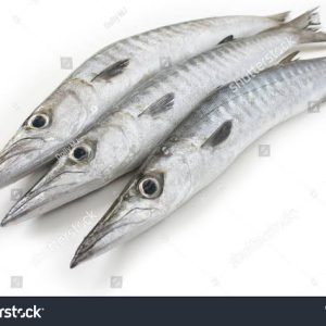 Barracuda (Washed and cut-up / Ready to cook) ? 1kg