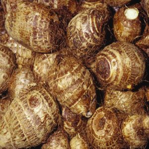 Cocoyam (Ede)