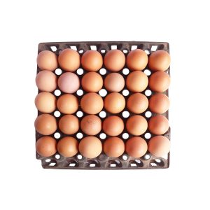 Eggs Crate