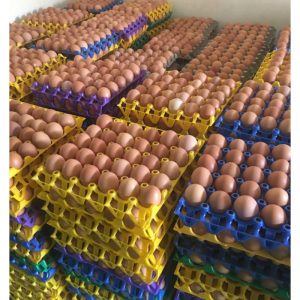 Crate of Eggs(30 Pieces With Crate)