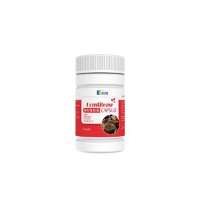 Kedi Pile And Constipation Natural Solution (Constilease Capsule)