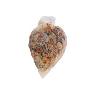 Locust Beans (Iru Pete)