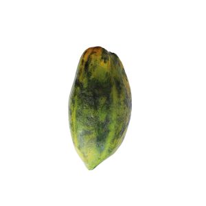 Pawpaw Size 2 (Medium)