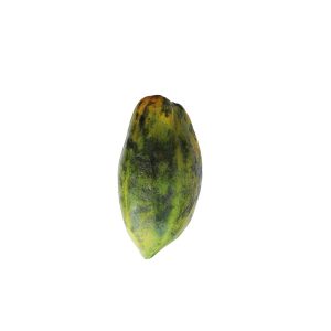 Pawpaw Size 1 (Small)