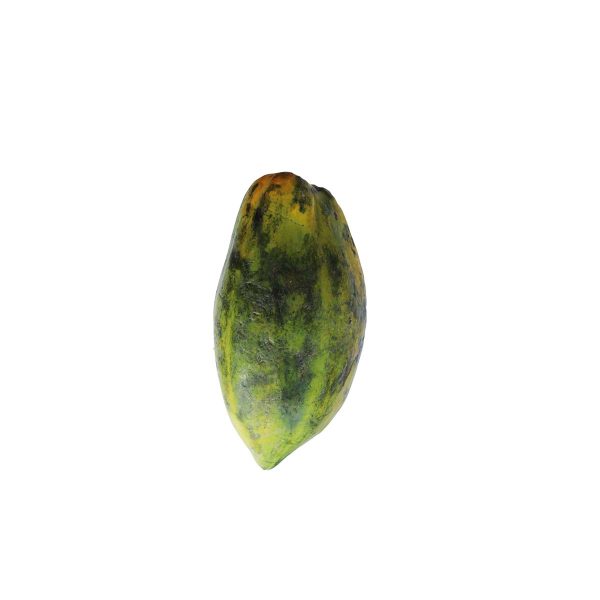 Pawpaw Size 1 (Small)