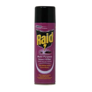 Raid Insect Killer ? 300ml