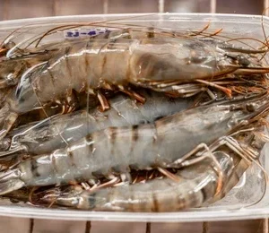 Jumbo Prawns ? Sharing