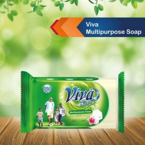 Viva Plus Washing Soap -250g