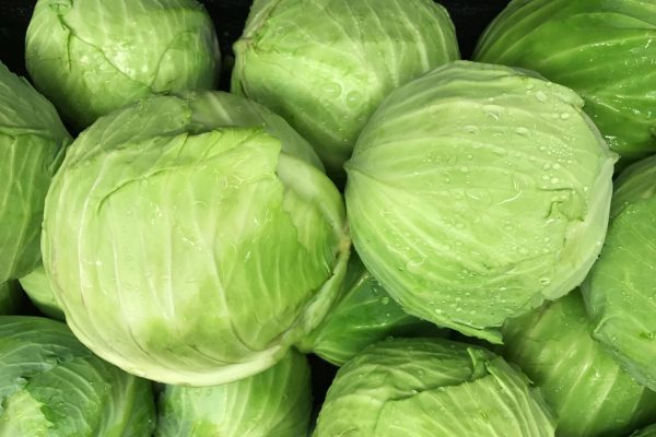 Cabbage ? 1 bulk