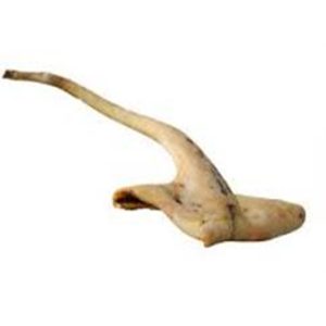 Cow Tail ? Sharing