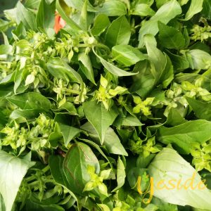 Curry leaf ? min buy