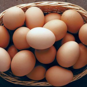 Egg ? single