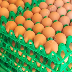 Egg ? 1crate (Large)
