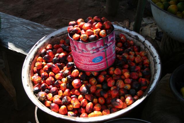Banga Palm Kernel ? Sharing