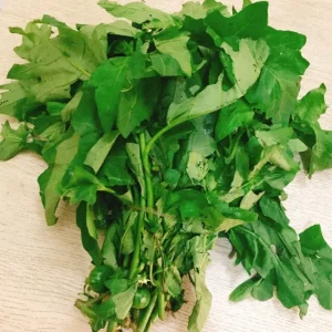 Garden egg leaf ? min buy