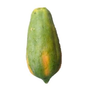 Pawpaw big x1