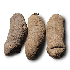 3 Medium Abuja Yam