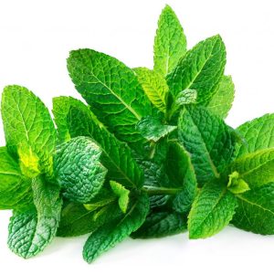 Mint leaf