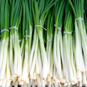 Spring Onion