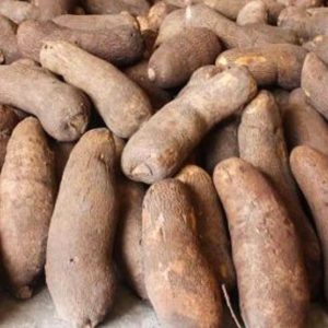 Yam ? 1 Sizeable Tuber
