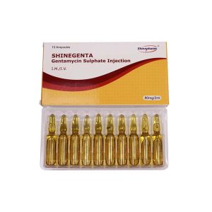 Gentamicin Injection 80Mg