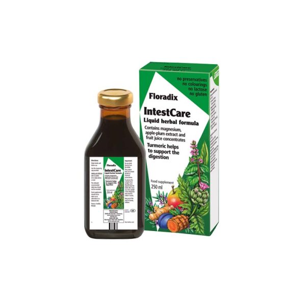 Floradix Intestcare Liquid X250Ml