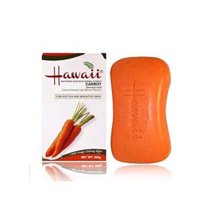 Hawaii Soap X200G