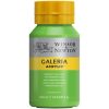 Winsor and Newton Galeria Acrylic- Permanent Green Light 500ml