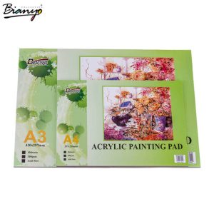 Bianyo Acrylic Painting Pads
