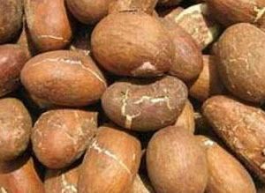 Bitter Kola | Orogbo |4oz