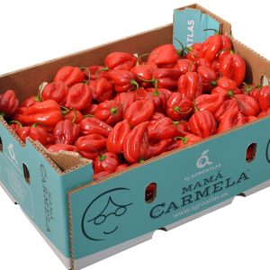 Red Habanero Pepper