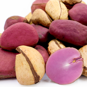 Kola Nut | Obi Abata - Pack of 4
